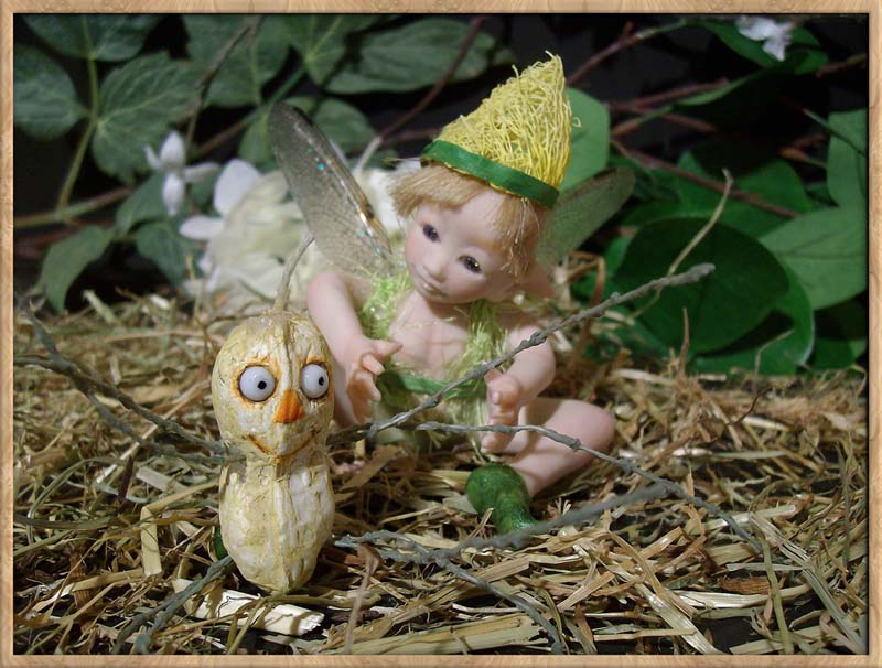 Baby Fairie Peo & Nut